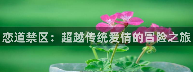 樱花漫画免费登录入口今日漫画网：恋道禁区：超越传统爱情的冒险之旅